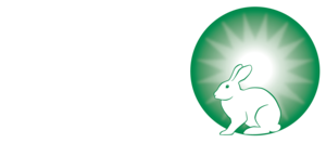 Fiver+Logo+-+Horizontal+-+White (1)